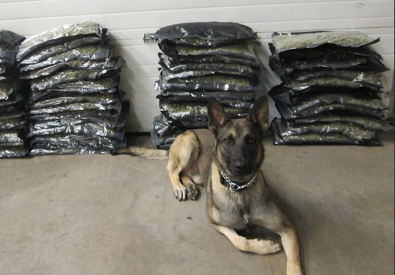 Oklahoma Highway Patrol mourns loss of longtime member K9 Dak, who they say died from natural causes